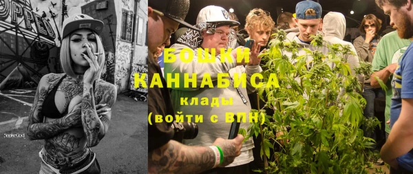 бошки Богданович