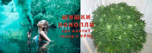 бошки Богданович