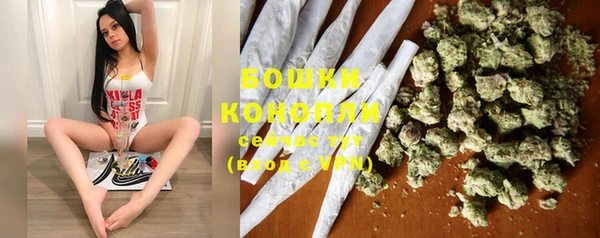 бошки Богданович