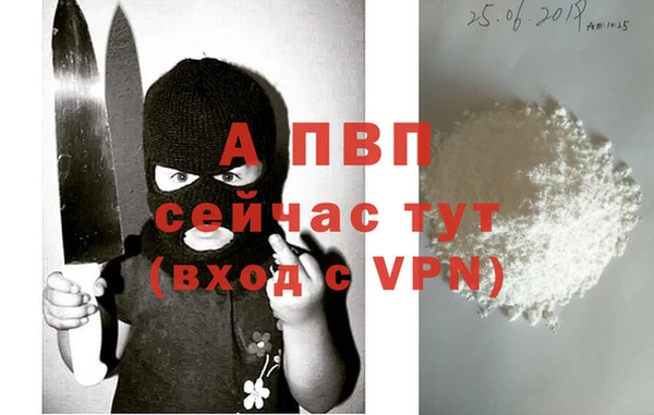 бошки Богданович